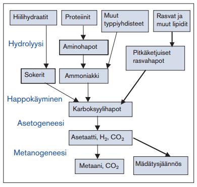 13 Kuva 2. Anaerobisen hajoamisen prosessikaavio. (Lampinen 2004, 4) 3.2 Vertailu muihin polttoaineisiin Biokaasu on uusiutuva energianlähde eli biokaasuvaroja syntyy maapallolla jatkuvasti lisää.