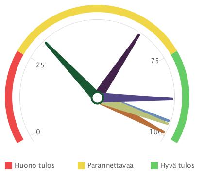 Terveyden edistämisen suunnittelija tai koordinaattori Kirjallinen päätös vastuutahon nimeämisestä