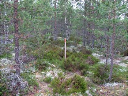 Voimalan rakentamispaikka on karua kanervatyypin kuivaa kangasta (CT), jossa ohuen maakerroksen alla on yhtenäinen kallio.