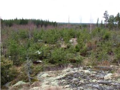 105 läheisyydessä kaikkiaan kolmena päivänä (22.6., 28.6. ja 3.8.2011).