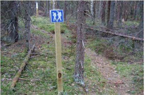 Pohja on lähes kauttaaltaan hiekoittunutta, mutta uomassa on paljon kiviä, sorapaikkojakin ja vesisammalia. Puronvarsi on metsälain 10 :n mukainen erityisen tärkeä elinympäristö.