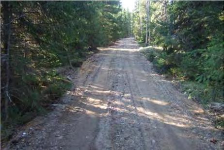 Aluskasvillisuus on lähinnä kanervaa, puolukka ja metsälauhaa on niukemmin.