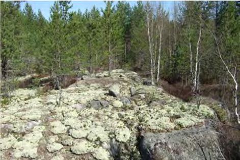 Kohteella ei ole erityisiä luontoarvoja. Kuva 70.