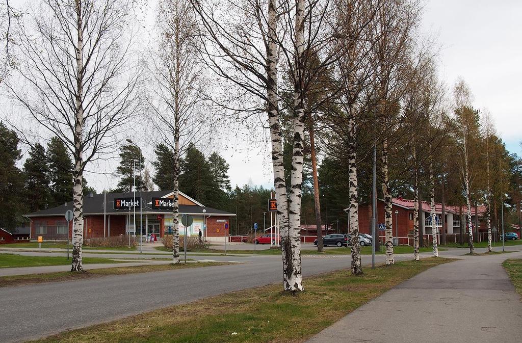 vesijohto sinisellä ja hulevesiverkosto vihreällä.) 3.1.