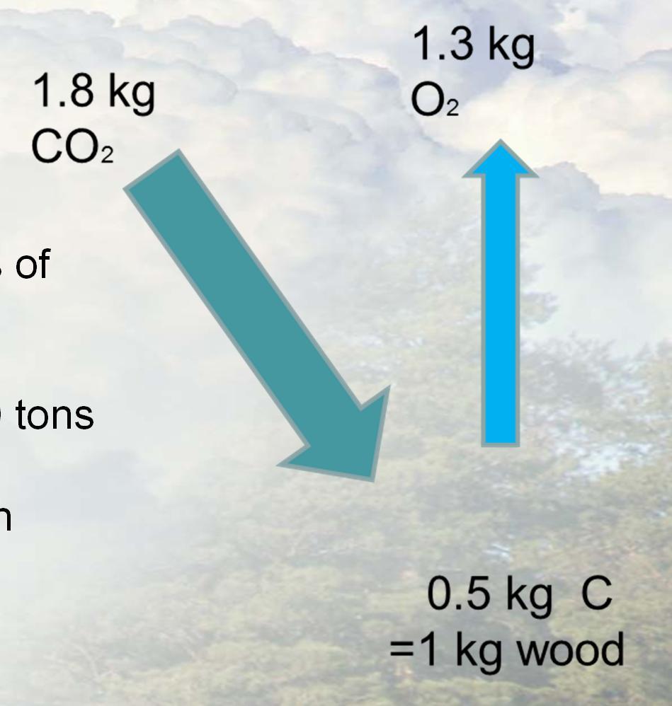 It commits the same amount of carbon