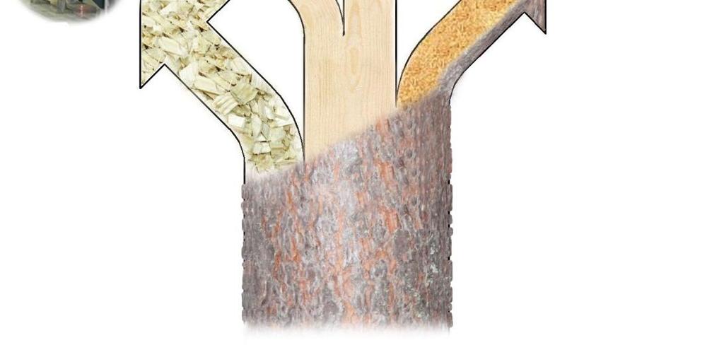 Manufacturing 1 m³ of laminated logs produces more than 1 m³ of energy wood.