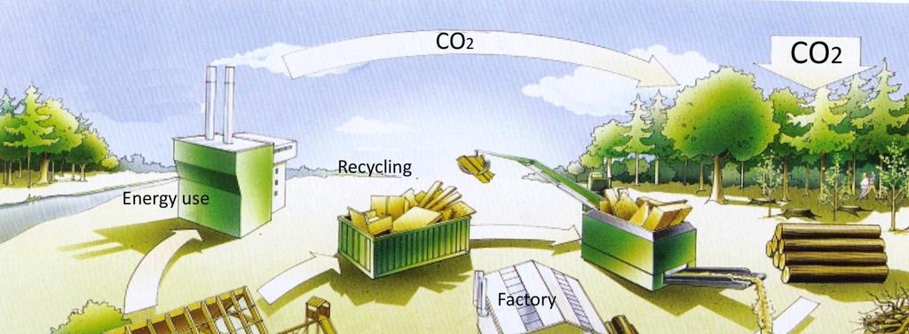 Environmental impacts of wood construction Material production Renewable material Wood binds carbon
