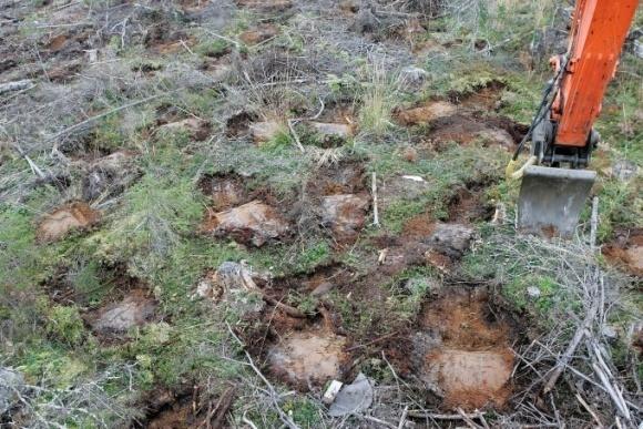 Muokkausjäljen tiheys Eri toimijoiden välillä eroa muokkausjälkien keskitiheyksissä ja muokkausjälkien tiheyden vaihtelu eri toimijoilla eri suurta. Tavoitteen mukainen taso.