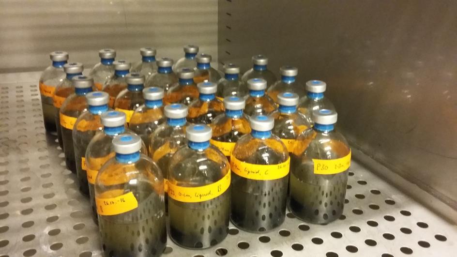 21 suljettiin kumitulpilla ja metallikorkeilla, jonka jälkeen pulloja typetettiin 3 min anaerobisten olosuhteiden saamiseksi. Pulloja inkuboitiin 35 C:n lämpökaapissa kuvan 1 mukaisesti.