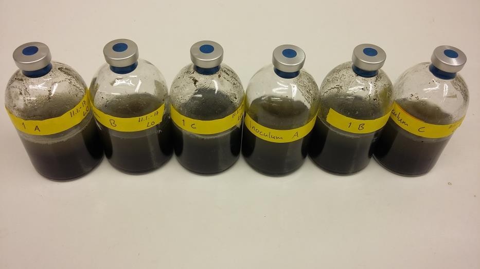 22 lisäysten ollessa 4,3-4,6 ml välillä. Pulloja inkuboitiin 35 C:en lämpökaapissa. Vertailunäytteen panospullot on esitetty kuvassa 2.