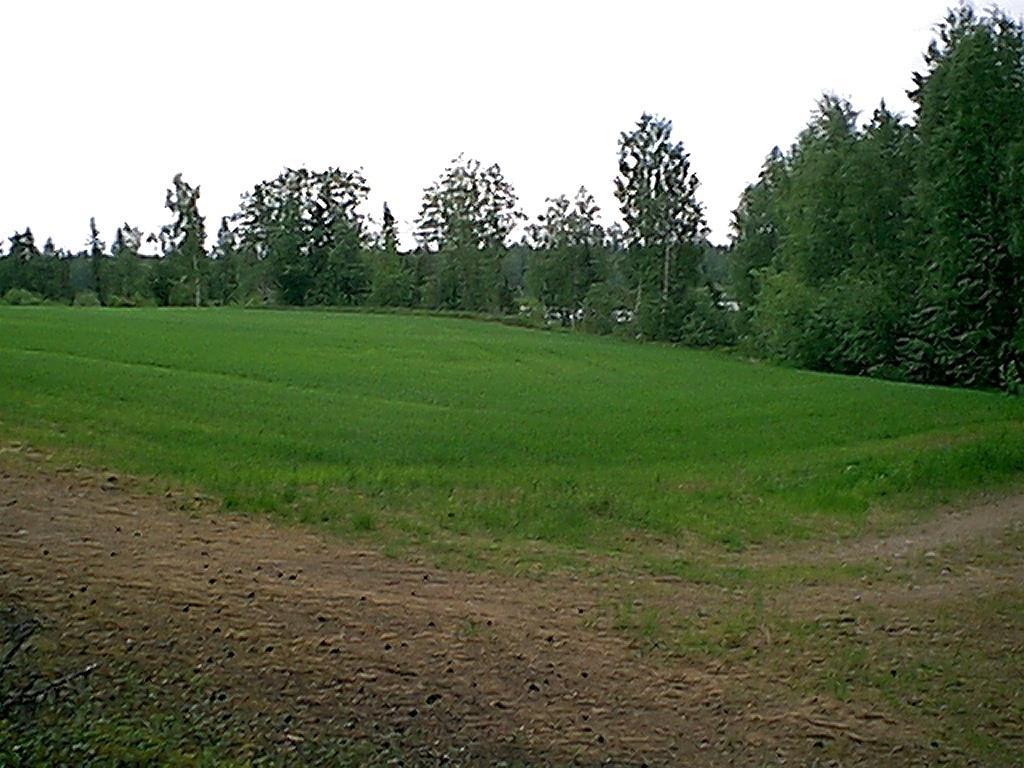 12 KINNULA 73 KANNONNIEMI Mjtunnus: 256 01 0024 rauh.
