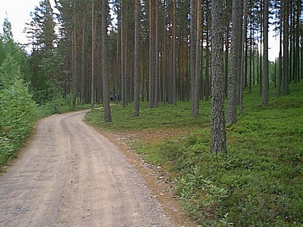Asuinpaikkatasannetta kuvattuna alueen länsireunalta kaakkoon.