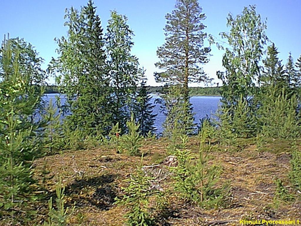 8 KINNULA 70 PYÖREÄSAARI 1 Mjtunnus: 256 01 0021 rauh.
