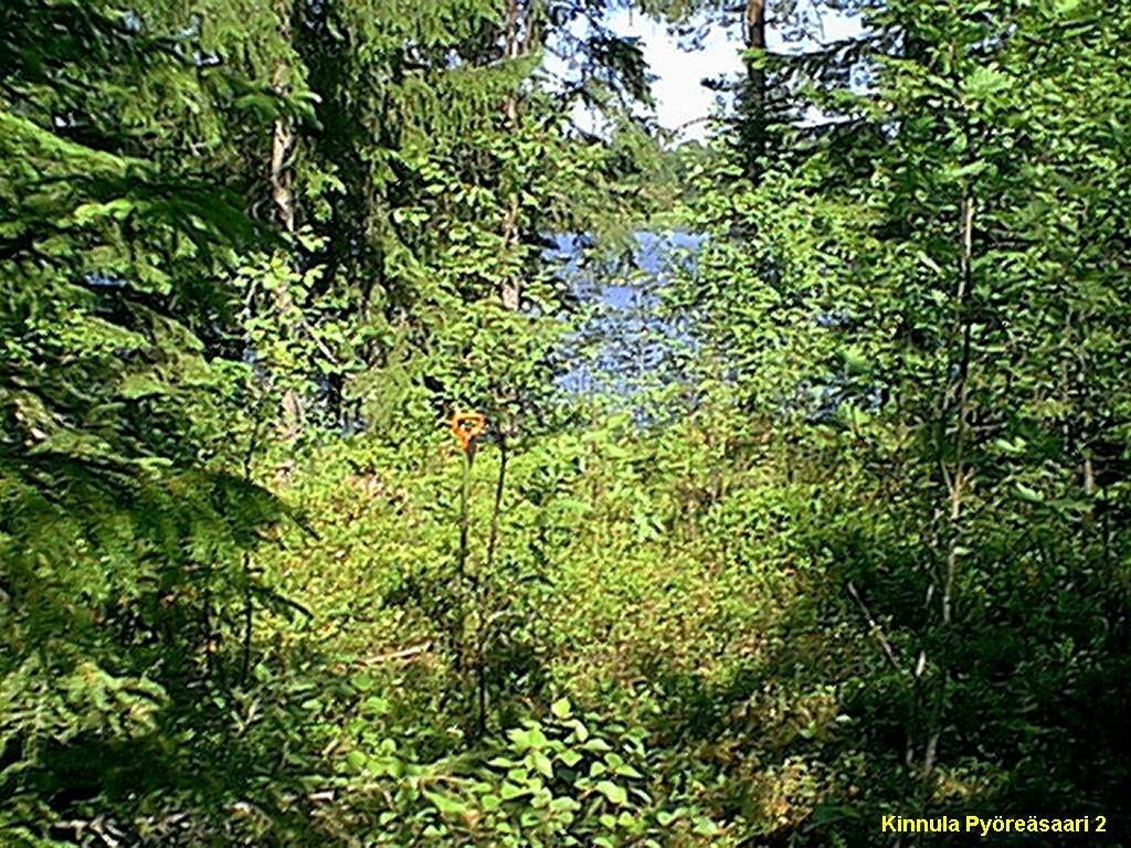 9 KINNULA 71 PYÖREÄSAARI 2 Mjtunnus: 256 01 0022 rauh.