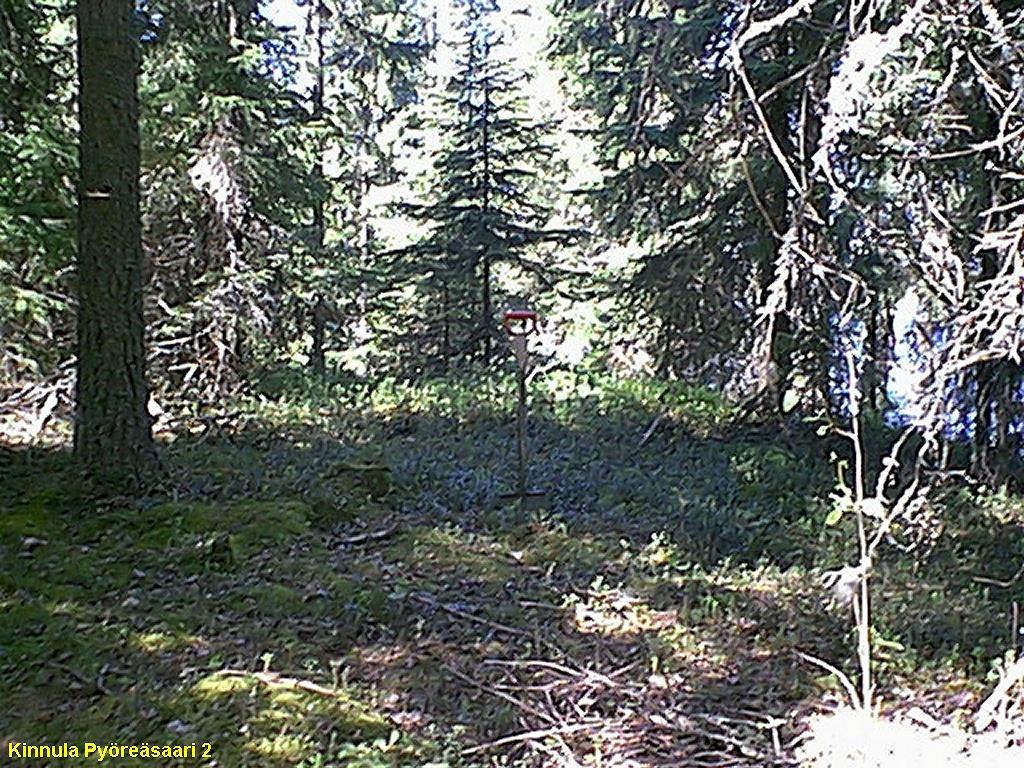 kvartsi-iskoksia, Jussila T 2002, diar. 09.08.2002, koekuopista. Paikka sijaitsee Kinnulan kirkosta 3,9 km SW, Ylä-Jäppä järven eteläpäässä olevan Pyöreäsaaren pohjoiskärjessä.