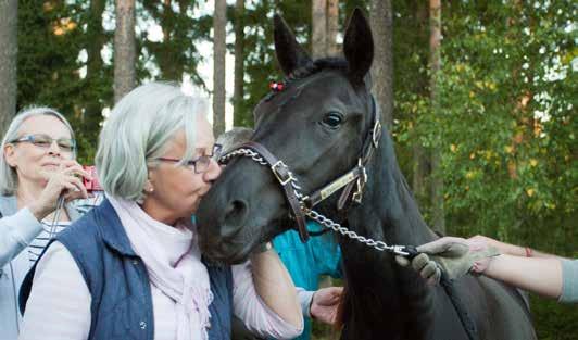 Hevosyrittäjien arviot kehittämiskohteista 39 kartoitukset ja vakuutukset ovat yrittäjän itsensä, henkilökunnan, asiakkaiden ja hevosten parhaaksi.