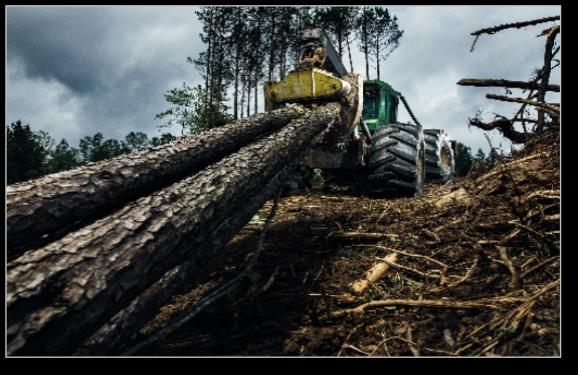 Liite: Raskaat Renkaat Esimerkkejä uusista tuotteista Nokian Logger King LS-2 äärimmäinen työjuhta kokorunkomenetelmän metsätöihin Uudesta