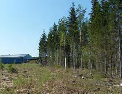isovarpurämemuuttumaa, jonka kasvillisuus on tavanomaista mm.
