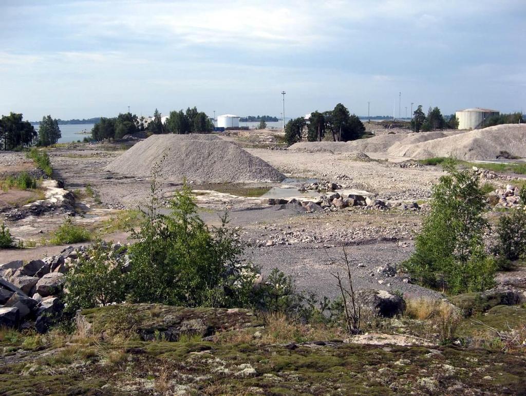 Kruunvuorenrannan luontoselvityksen täydennys set on purettu. Suurin osa alueesta on raivaus- ja maansiirtotöiden vuoksi lähes kasvitonta (kuva 3).