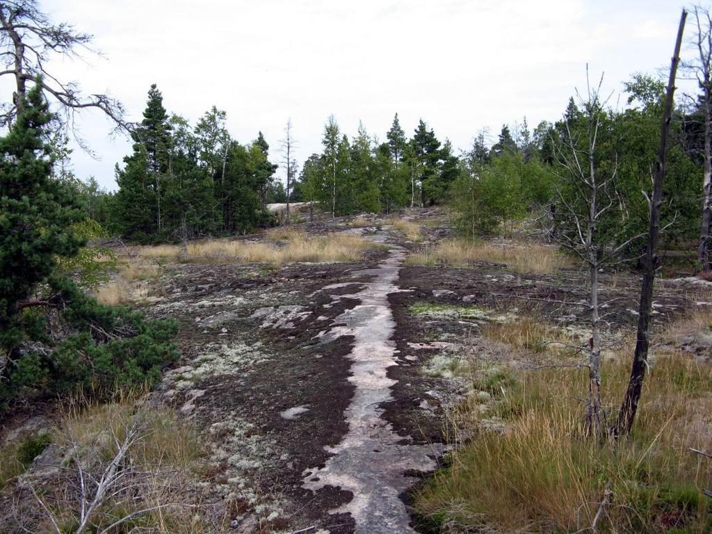 Kruunvuorenrannan luontoselvityksen täydennys Osa-alue 3 Stansvikinnummen keskiosan loivapiirteinen, luode-kaakkosuuntainen kallioharjanne.