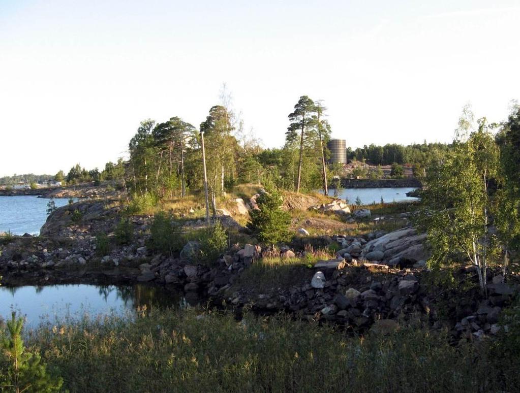 Kruunvuorenrannan luontoselvityksen täydennys Osa-alue 1 Kallioniemen merenpuoleinen osa on jyrkkäpiirteinen ja puuton.