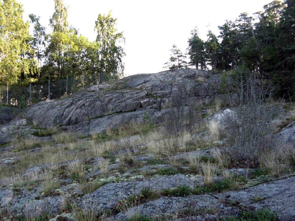 Kruunvuorenrannan luontoselvityksen täydennys metsäinen alue on noin 50 metrin levyinen. Sen pohjoispuolella on laajahko, puuton täyttömaakenttä.