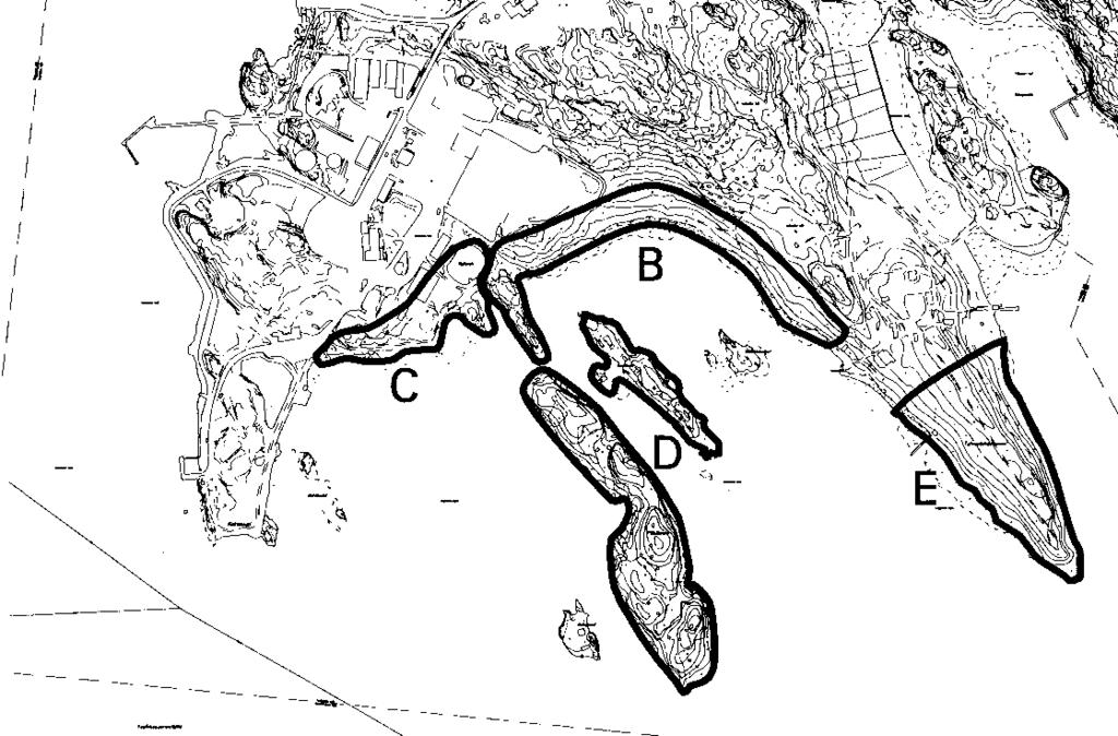 Kruunuvuorenrannan rantametsä (3,4 ha) C Koirasaari