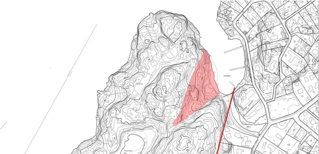Kotiranta, H. & Niemelä, T. 1996: Uhanalaiset käävät Suomessa. Toinen painos. Suomen ympäristökeskus, Helsinki. 184 s. Niemelä, T. 2004: Suomen kääpien määritysopas.