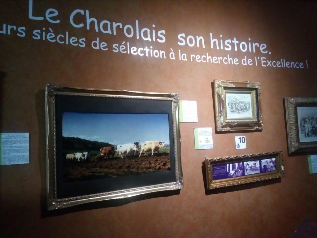 Ranskassa. Kuva 3. La Maison Charolaisrodulle perustettu näyttävä keskus ja museo. Kuva 4.
