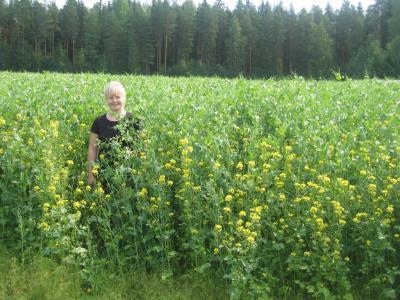 Esimerkkejä Herne-sinappikasvusto: