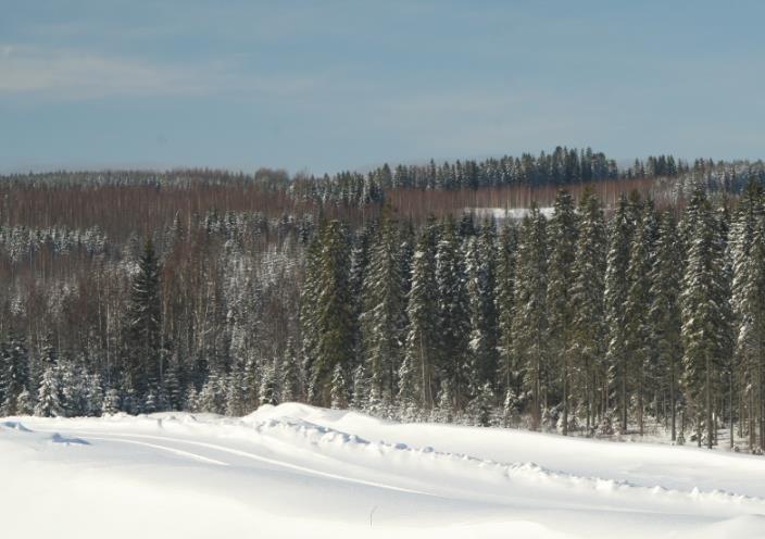 KUOPION KAUPUNKI HEINJOEN YLIJÄÄMÄMAIDEN