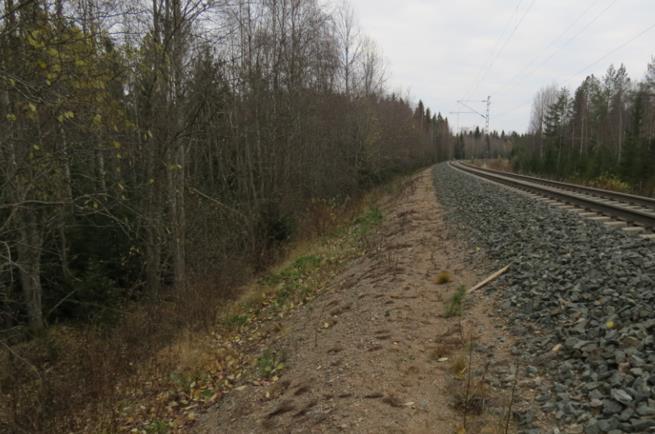 Hankealueen läheisyydessä tapahtuvasta nykyisestä tuhkan läjityksestä tai moottoriradan toiminnoista aiheutuvista ilmapäästöistä ei ole tarkempaa tietoa. 3.