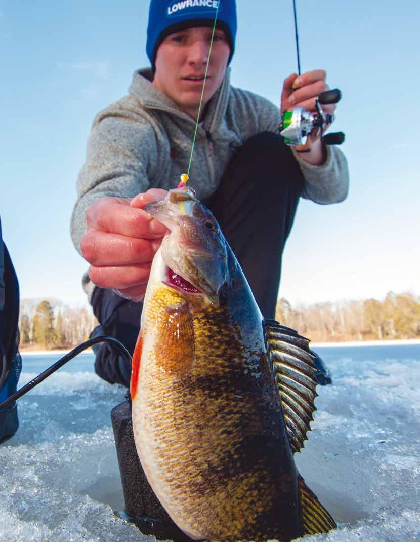 Lowrance Ice Machine -laitteissa ja All Season Pack -lisävarusteessa on erittäin tarkat värinäytöt ja luotettavaa Lowrance-luotaintekniikkaa.