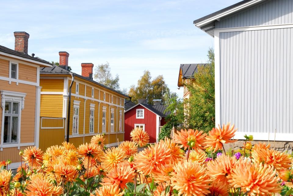 Kotihoidon,