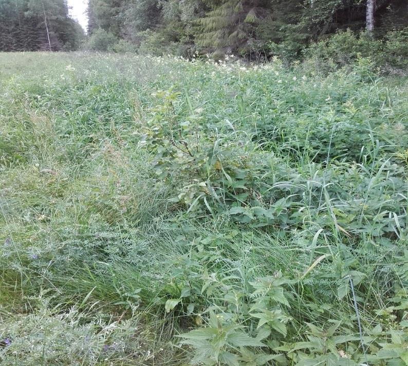 Valvonnassa havaittuja ongelmia