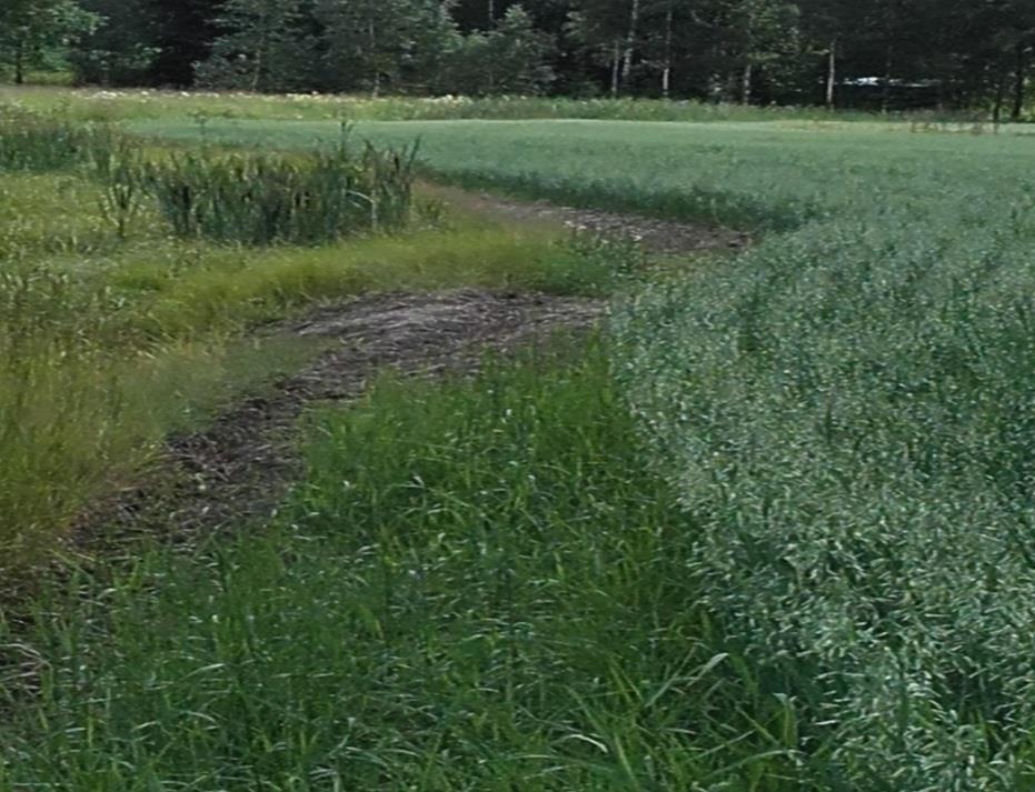 Valvonnassa havaittuja ongelmia