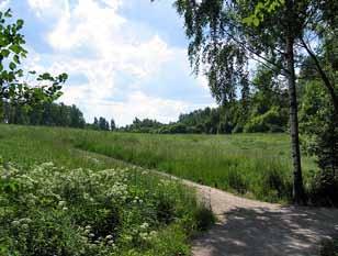 Suurin osa ulkoilijoiden kokemasta metsämaisemasta on ulkoilureitiltä, polulta tai metsän sisältä nähtävää lähimaisemaa. Lähimaisemaan kuuluvat havaittavat yksityiskohdat.