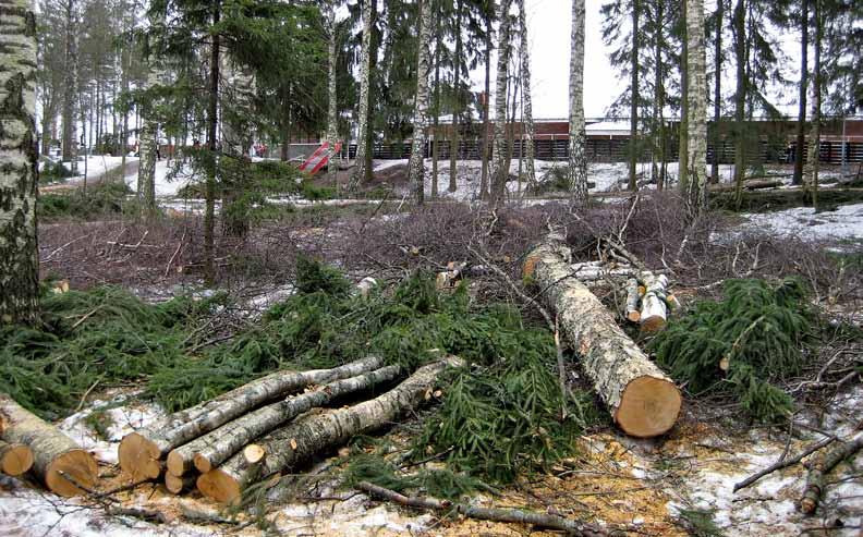 tämällä lahopuustoa, harventamattomia tiheiköitä ja vaihtelemalla harvennuksen voimakkuutta metsikön eri osissa.