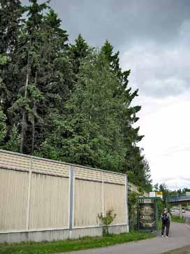 5.8 Suojametsät Metsä voi toimia suojana ilman epäpuhtauksilta, melulta, tuulelta ja näkymiltä. Tehokas suojavyöhyke on monikerroksinen ja monilajinen.