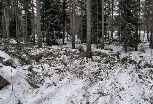 avokallioalueet ja kulttuurikohteita esimerkiksi tykkitien pohjat ja vanhat linnoituslaitteet.