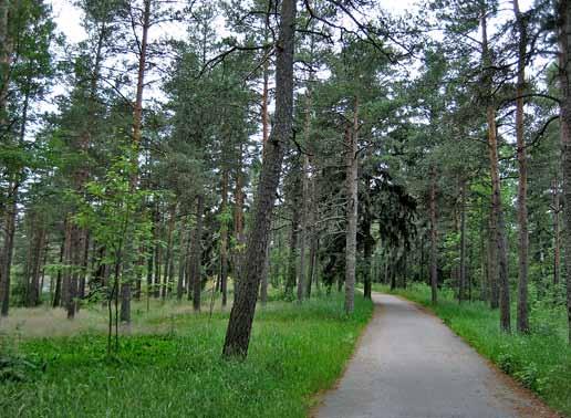 li voi olla 15 20 vuotta. Hoito kohdistetaan kuviotasolle, erikoistilanteissa tarkemmin. Hakkuutähteet pääsääntöisesti kerätään tai haketetaan kuviolle sopiviin kohtiin. iii. Ulkoilumetsä C2.