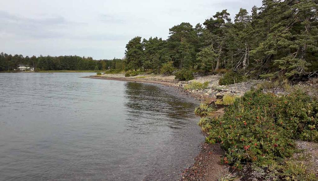 3 Maisemanhoito metsissä Avoimet kulttuurimaisemat ja metsämaisemat luovat Helsingin eri kaupunginosille ja niiden reunavyöhykkeille omaleimaisuutta.