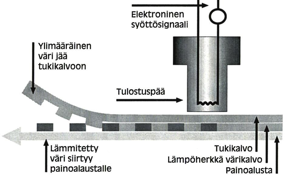 seen ja lipunkirjoitukseen liittyvien koodaussovellusten tulostusvaatimuksiin. (Eteläaho ym. 1997, 53.