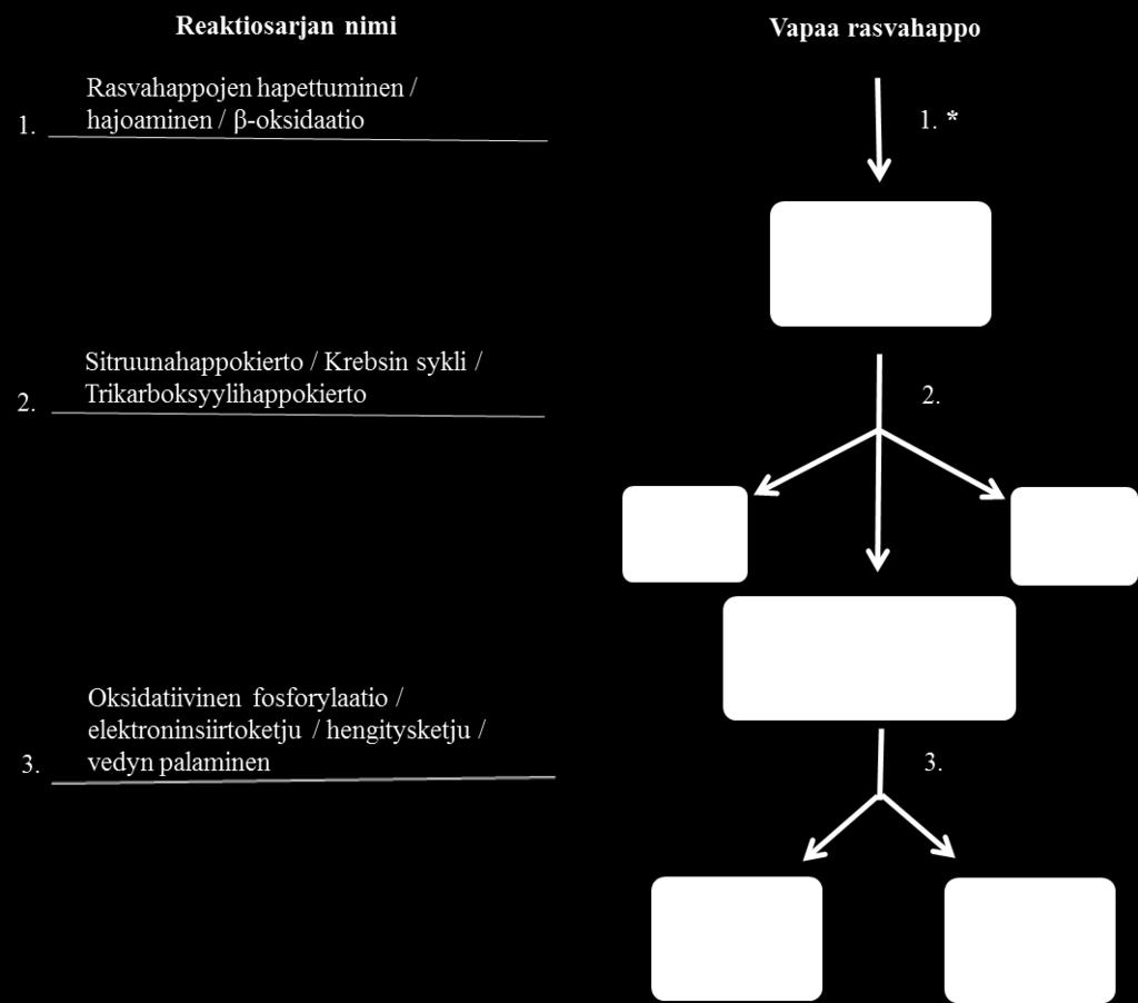 Vastausanalyysi 2017 14 Tehtävä 13 9 p *Tehtävän 16 johdantotekstissä annetaan vastaus tämän tehtävän ensimmäiseen kohtaan: Solun sisällä rasvahappo sidotaan koentsyymi-a:han (HS-KoA)