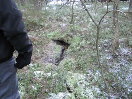 Alue on säilynyt rakentamattomana, joten alueella on säilynyt ja kehittynyt luonnontilainen arvokas pienvesiluonnon kokonaisuus.