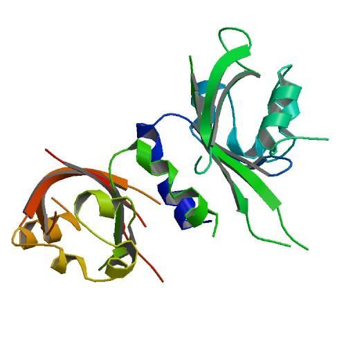 4 2.2 Aryylihiilivetyreseptori Aryylihiilivetyreseptori (AHR) on yksi useista ligandi-aktivoituvista transkriptiotekijöistä, jotka säätelevät laajasti muun muassa solun metaboliaentsyymien geenejä.