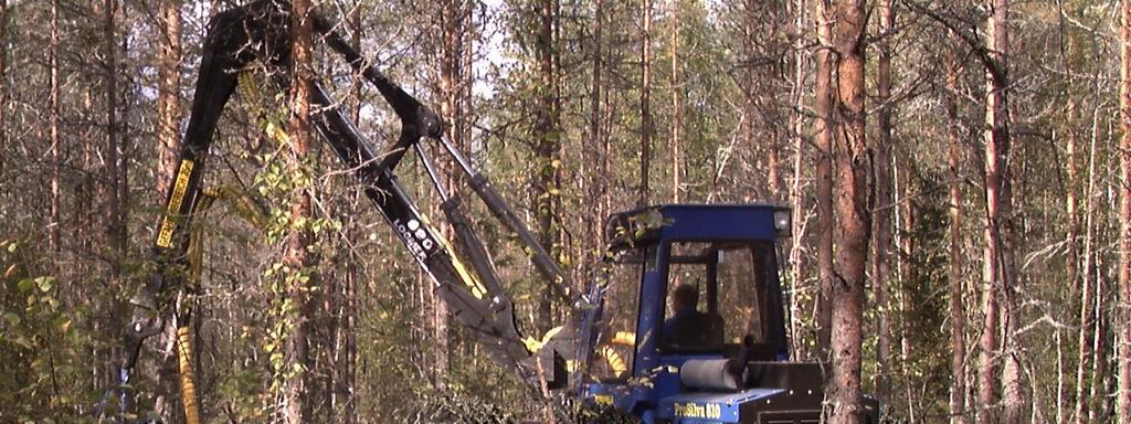 Juurikäävän leviäminen energiapuuhakkuun seurauksena Männyn kannot: