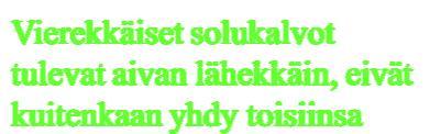 Desmosomit ovat yksittäisiä läiskämäisiä soluliitoksia, jotka tarjoavat mekaanista kestävyyttä yhdistäessään naapurisolujen välikokoisten säikeiden verkostot toisiinsa.