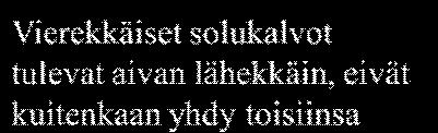 Se toimii myös sähköisenä liitoksena esim. sydänlihassolussa. Aukkoliitoksessa on yleensä pienellä alueella suuri määrä pieniä alayksiköitä.