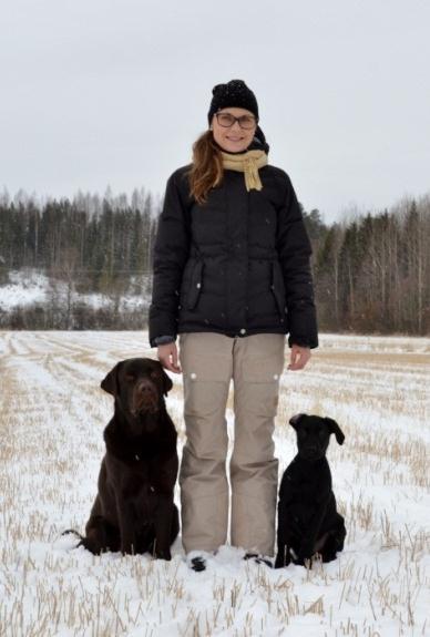 irina natri Moikka! Olen Irina Villähteeltä. Multa löytyy kotoa 2,5v Kaapo, näyttelylinjainen labukka ja vuoden vaihteessa syntynyt Väinö, käyttölinjainen labukka. Kummankin koiran päälaji on NOME.